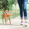 Chuckit! Air Fetch Stick Köpek Oyuncağı Küçük Boy