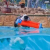 Chuckit! Bumper Suda Batmayan Köpek Oyuncağı Küçük Boy
