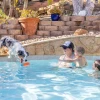 Chuckit! Bumper Suda Batmayan Köpek Oyuncağı Küçük Boy