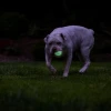 Chuckit! Max Glow Air Fetch Gece Parlayan 2 Li Köpek Oyun Topu Küçük Boy