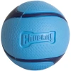 Chuckit! Sniff Fetch Fıstık Ezmesi Kokulu Köpek Oyun Topu Orta Boy