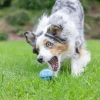 Chuckit! Sniff Fetch Fıstık Ezmesi Kokulu Köpek Oyun Topu Orta Boy