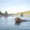 Chuckit! Ultra Ball 2 Li Köpek Oyun Topu Küçük Boy