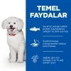 Hill's SCIENCE PLAN Hipoalerjenik Somonlu Küçük Irk Yetişkin Köpek Maması 6 Kg