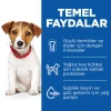 Hill's SCIENCE PLAN Kuzulu & Pirinçli Küçük ve Mini Irk Yavru Köpek Maması 1.5 Kg