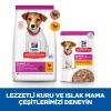 Hill's SCIENCE PLAN Kuzulu & Pirinçli Küçük ve Mini Irk Yavru Köpek Maması 6 Kg