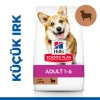 Hill's SCIENCE PLAN Kuzulu ve Pirinçli Küçük ve Mini Irk Yetişkin Köpek Maması 6 Kg