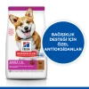 Hill's SCIENCE PLAN Kuzulu ve Pirinçli Küçük ve Mini Irk Yetişkin Köpek Maması 6 Kg