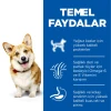 Hill's SCIENCE PLAN Kuzulu ve Pirinçli Küçük ve Mini Irk Yetişkin Köpek Maması 6 Kg