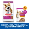 Hill's SCIENCE PLAN Kuzulu ve Pirinçli Küçük ve Mini Irk Yetişkin Köpek Maması 6 Kg