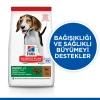 Hill's SCIENCE PLAN Kuzulu ve Pirinçli Orta Irk Yavru Köpek Maması 2.5 Kg