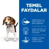 Hill's SCIENCE PLAN Kuzulu ve Pirinçli Orta Irk Yavru Köpek Maması 2.5 Kg
