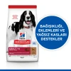 Hill's SCIENCE PLAN Kuzulu ve Pirinçli Orta Irk Yetişkin Köpek Maması 2.5 Kg