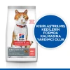 Hill's SCIENCE PLAN Sterilised Somonlu Kısırlaştırılmış Kedi Maması 10 Kg