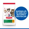 Hill's SCIENCE PLAN Tavuklu Yavru Kedi Maması 1.5 Kg