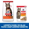 Hill's SCIENCE PLAN Yetişkin Kuzulu Kedi Maması 10 Kg