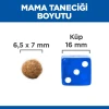 Hill's SCIENCE PLAN Yetişkin Kuzulu Kedi Maması 10 Kg