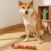 M-PETS Carnivore Dog Toy Boomerang Bone Pastırma Aromalı Köpek Oyuncağı Large