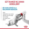 Royal Canin Babydog Milk Köpek Süt Tozu 400 Gr