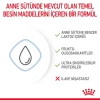 Royal Canin Babydog Milk Köpek Süt Tozu 400 Gr