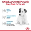 Royal Canin Babydog Milk Köpek Süt Tozu 400 Gr