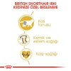 Royal Canin British Shorthair Yetişkin Kedi Maması 10 Kg