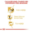 Royal Canin Cavalier King Charles Adult Yetişkin Köpek Maması 1.5 Kg