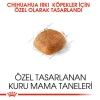 Royal Canin Chihuahua Adult Yetişkin Köpek Maması 1.5 Kg