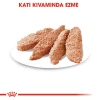 Royal Canin Dermacomfort Pouch Köpek Yaş Maması 85 Gr