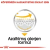 Royal Canin Dermacomfort Pouch Köpek Yaş Maması 85 Gr