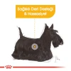 Royal Canin Dermacomfort Pouch Köpek Yaş Maması 85 Gr