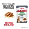 Royal Canin Digestive Sensitive Gravy Pouch Kedi Yaş Maması 85 Gr