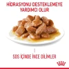 Royal Canin Digestive Sensitive Gravy Pouch Kedi Yaş Maması 85 Gr