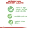 Royal Canin Digestive Sensitive Gravy Pouch Kedi Yaş Maması 85 Gr
