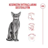 Royal Canin Fussy Exigent Yetişkin Kedi Maması 4 Kg