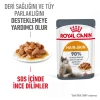 Royal Canin Hair & Skin Care Gravy Pouch Kedi Yaş Maması 85 Gr