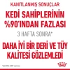 Royal Canin Hair & Skin Care Gravy Pouch Kedi Yaş Maması 85 Gr