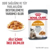 Royal Canin Hair & Skin Care Jelly Pouch Kedi Yaş Maması 85 Gr