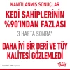 Royal Canin Hair & Skin Care Jelly Pouch Kedi Yaş Maması 85 Gr