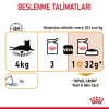 Royal Canin Hair & Skin Care Jelly Pouch Kedi Yaş Maması 85 Gr