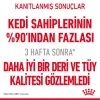 Royal Canin Hair & Skin Care Yetişkin Kedi Maması 2 Kg