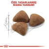 Royal Canin İndoor 27 Yetişkin Kedi Maması 2 Kg