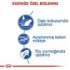 Royal Canin İndoor 27 Yetişkin Kedi Maması 2 Kg