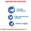 Royal Canin İndoor 7+ Yaşlı Kedi Maması 1.5 Kg