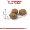 Royal Canin İndoor 7+ Yaşlı Kedi Maması 3.5 Kg