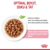 Royal Canin Kitten Gravy Pouch Yavru Kedi Yaş Maması 85 Gr