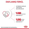 Royal Canin Kitten Gravy Pouch Yavru Kedi Yaş Maması 85 Gr