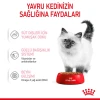 Royal Canin Kitten Gravy Pouch Yavru Kedi Yaş Maması 85 Gr