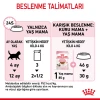 Royal Canin Kitten Gravy Pouch Yavru Kedi Yaş Maması 85 Gr