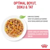 Royal Canin Kitten Jelly Pouch Yavru Kedi Yaş Maması 85 Gr